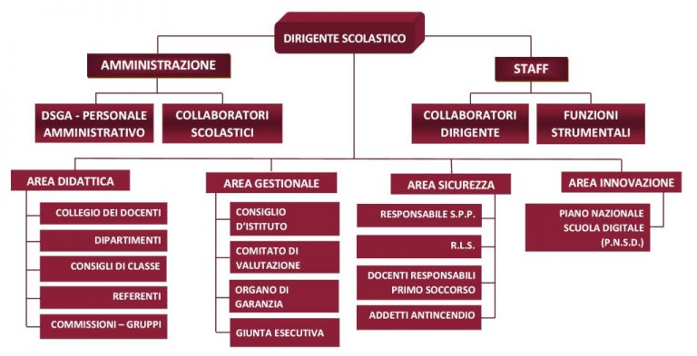 Organigramma